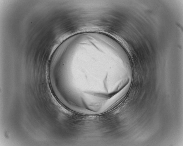 X0000096131390200802081315