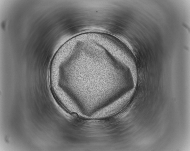 X0000096131391200802081315