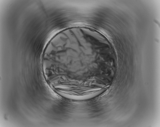 X0000096131392200802081315