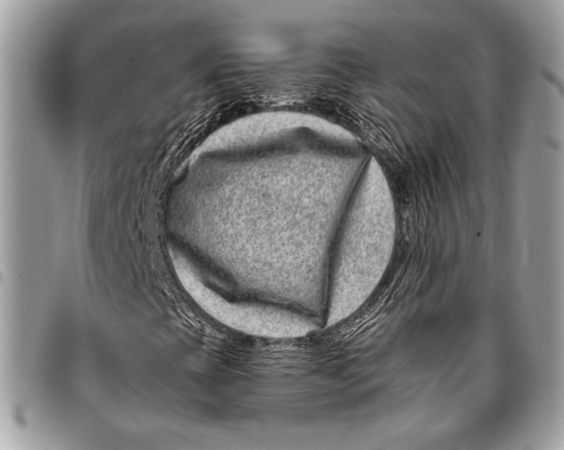 X0000096131393200802081314