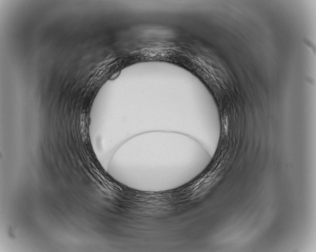 X0000096131396200802081314