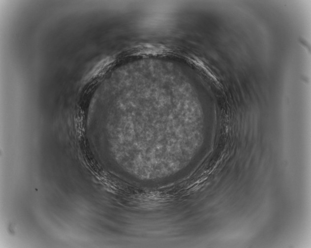 X0000096131399200802081315