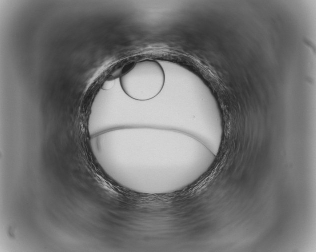 X0000096131400200802081315