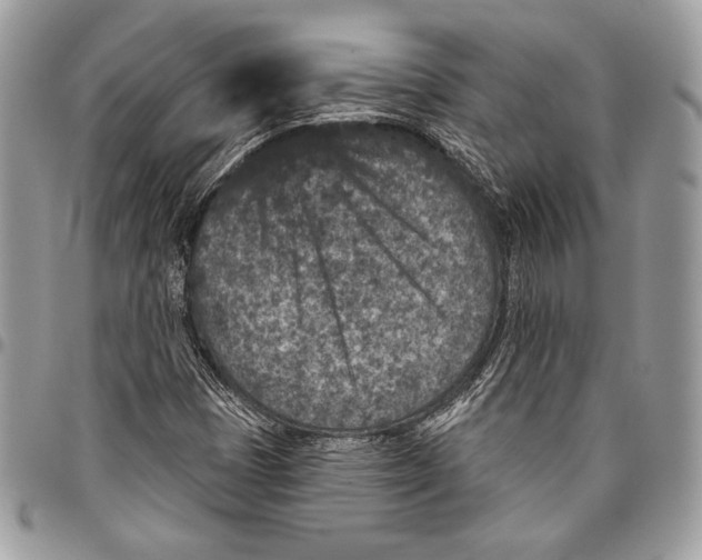 X0000096131401200802081315