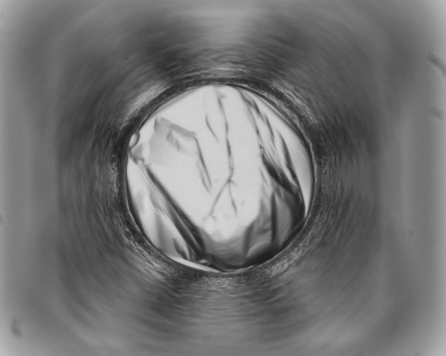 X0000096131402200802081315