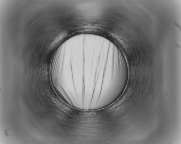 X0000096131403200802081315