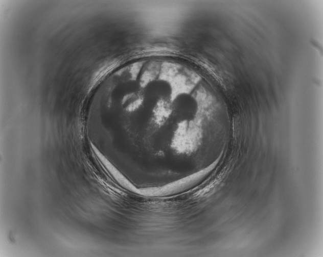 X0000096131405200802081315