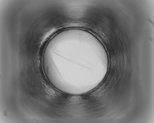 X0000096131406200802081315