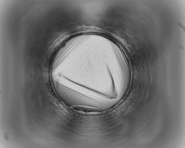 X0000096131407200802081315