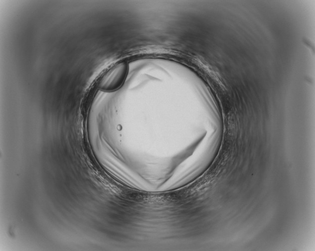 X0000096131408200802081315
