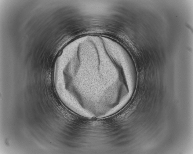 X0000096131409200802081315