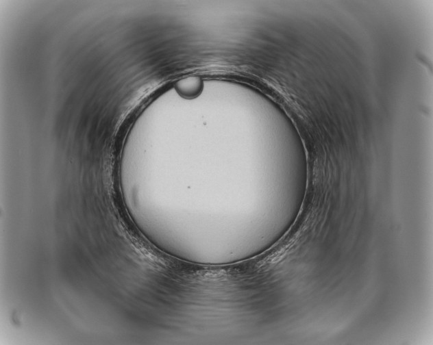 X0000096131410200802081315