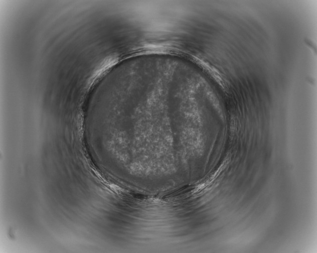 X0000096131411200802081315