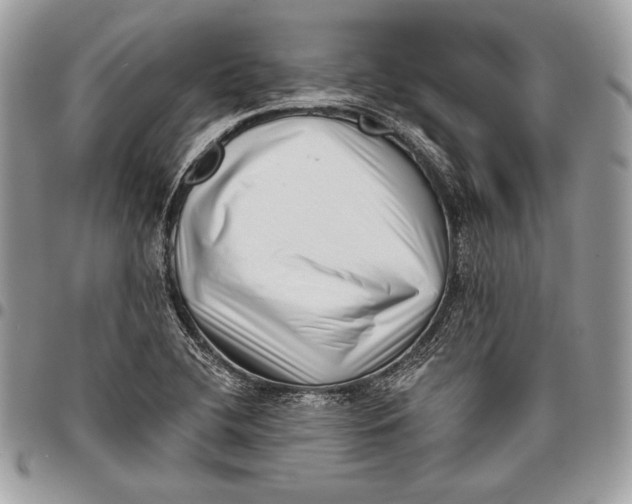 X0000096131412200802081315