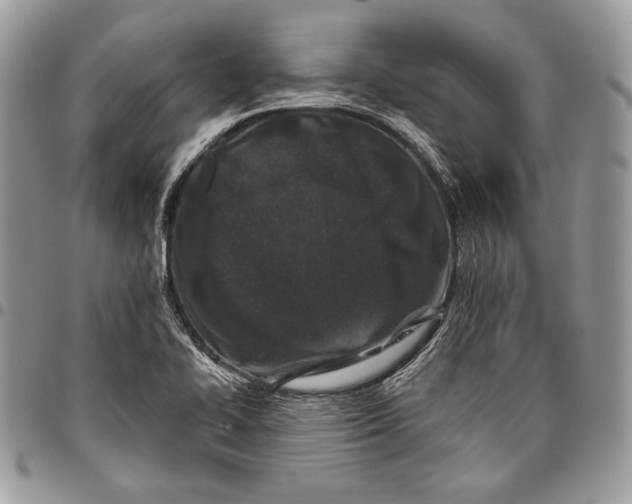 X0000096131414200802081315