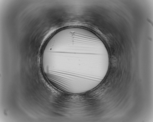 X0000096131416200802081315