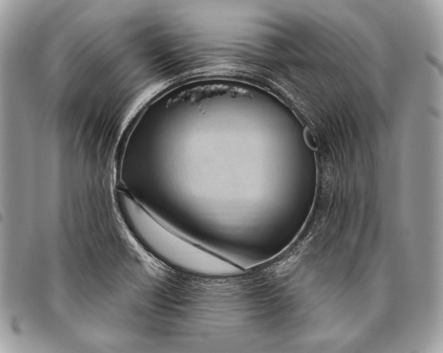 X0000096131418200802081315