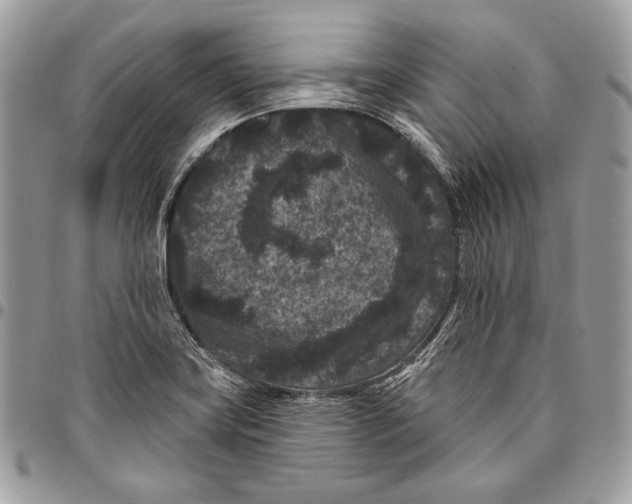 X0000096131419200802081315