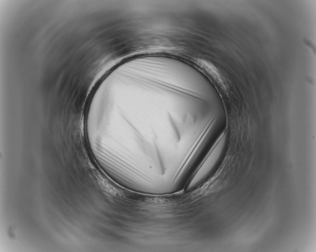 X0000096131420200802081315