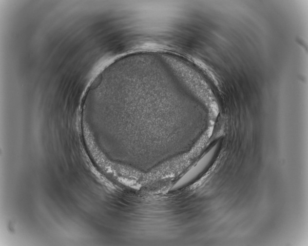 X0000096131421200802081315