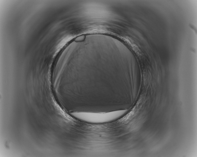 X0000096131422200802081315