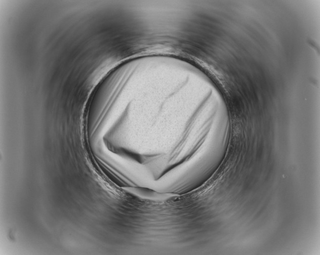 X0000096131423200802081315
