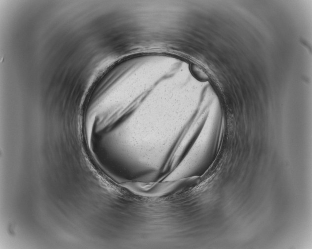 X0000096131424200802081315