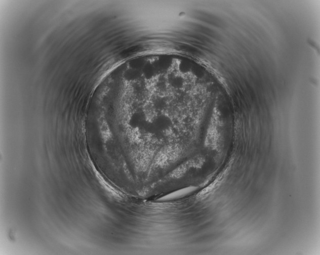 X0000096131425200802081315
