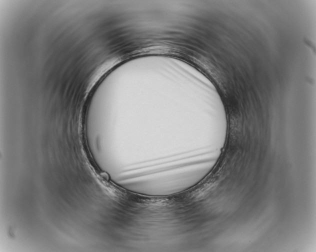 X0000096131426200802081315