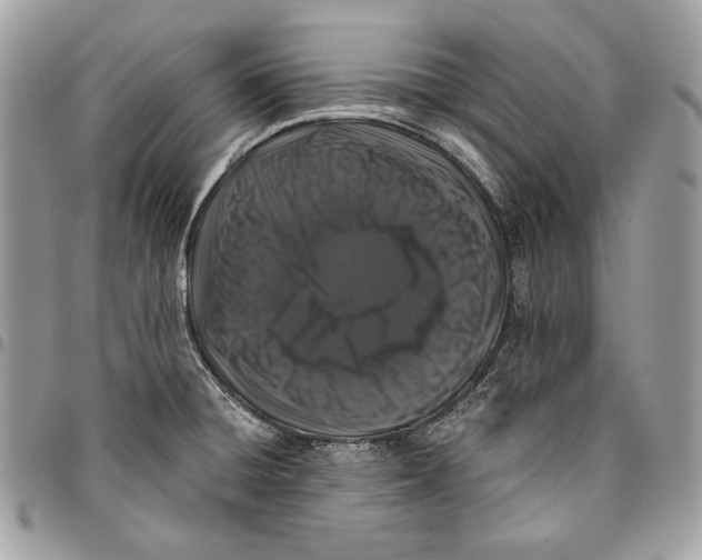 X0000096131428200802081315