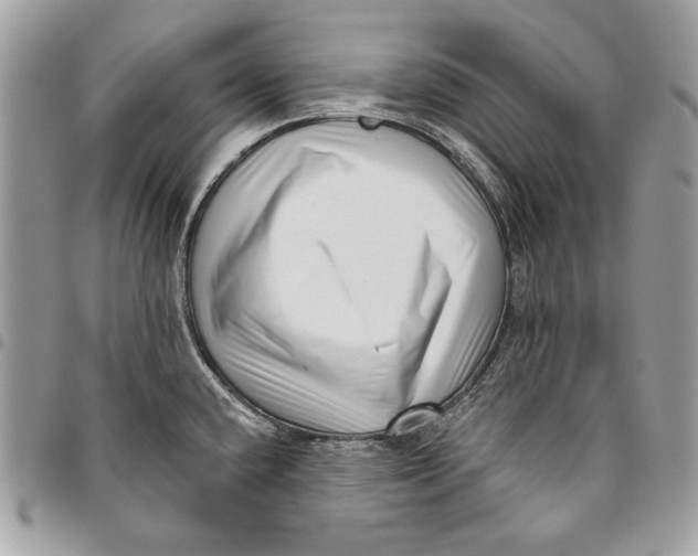 X0000096131432200802081315