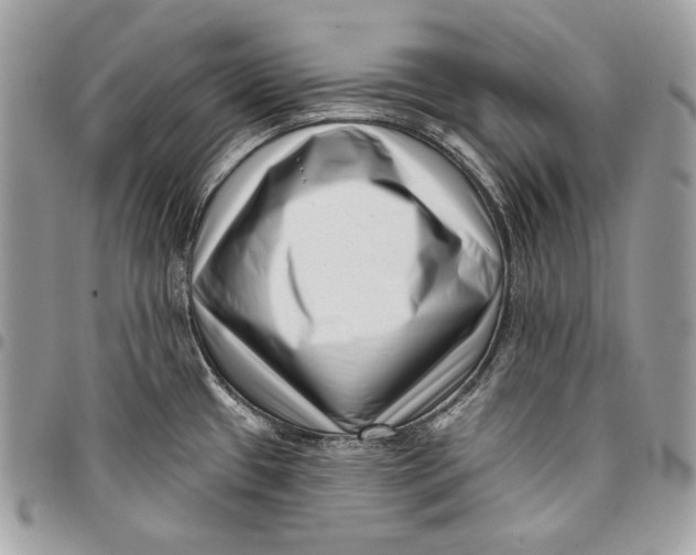 X0000096131433200802081315