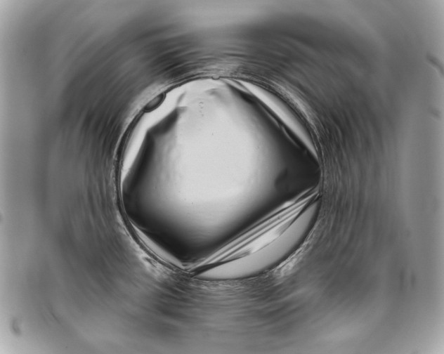 X0000096131434200802081315