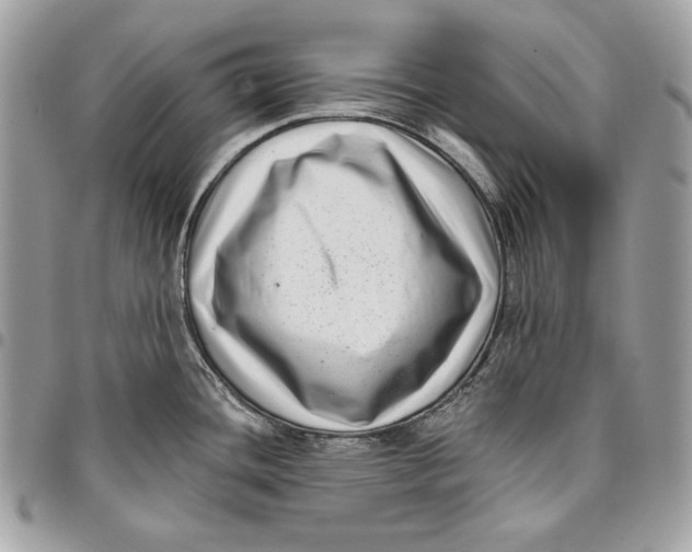 X0000096131436200802081315