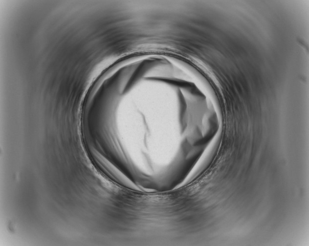X0000096131437200802081315