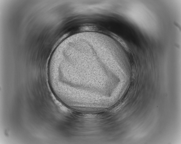 X0000096131439200802081315