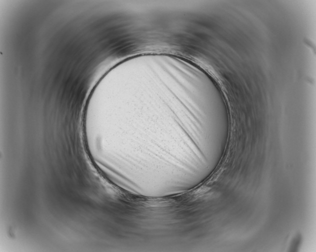 X0000096131440200802081315