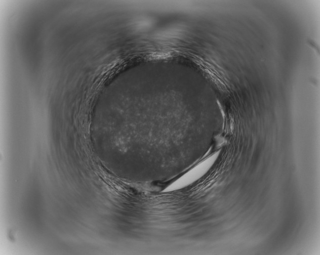 X0000096131441200802081314
