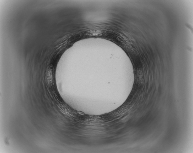 X0000096131442200802081314