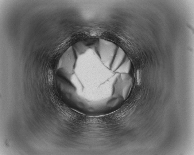 X0000096131443200802081314