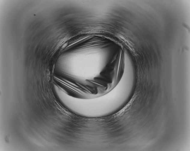 X0000096131449200802081314
