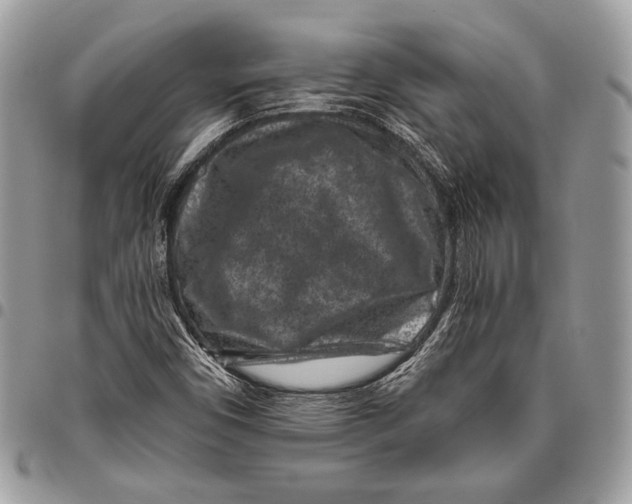 X0000096131450200802081314
