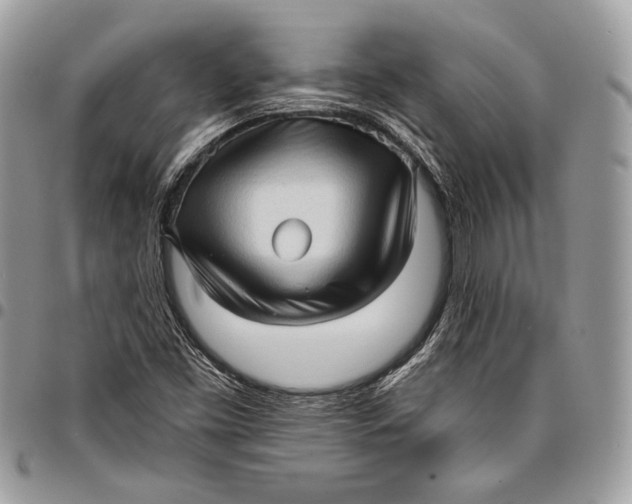 X0000096131453200802081314