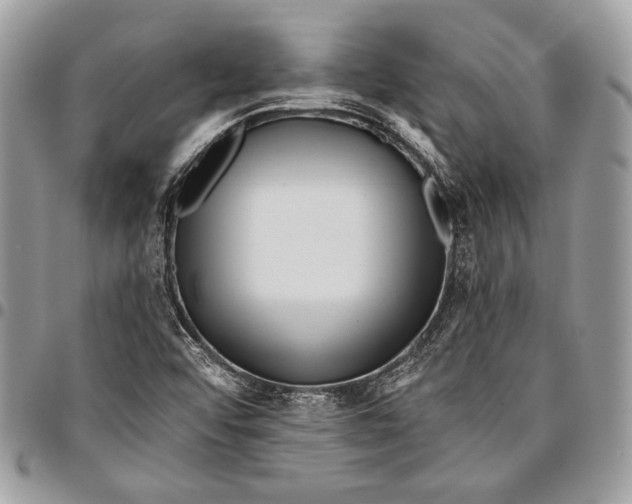 X0000096131456200802081314