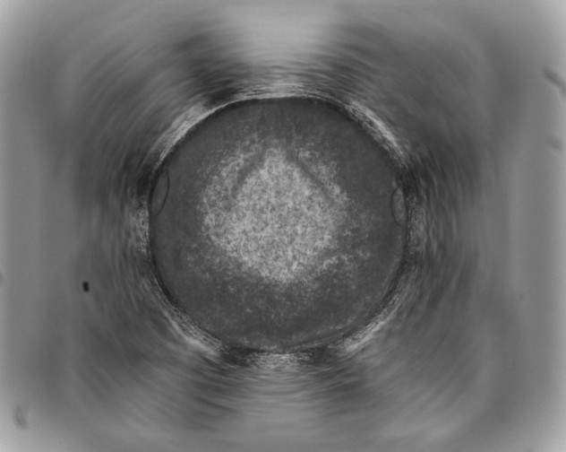 X0000096131457200802081314