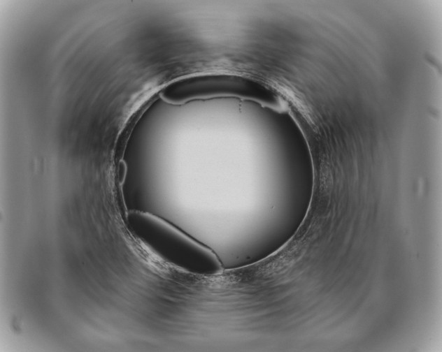 X0000096131460200802081314