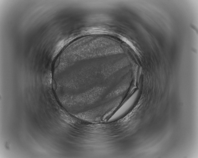 X0000096131461200802081314