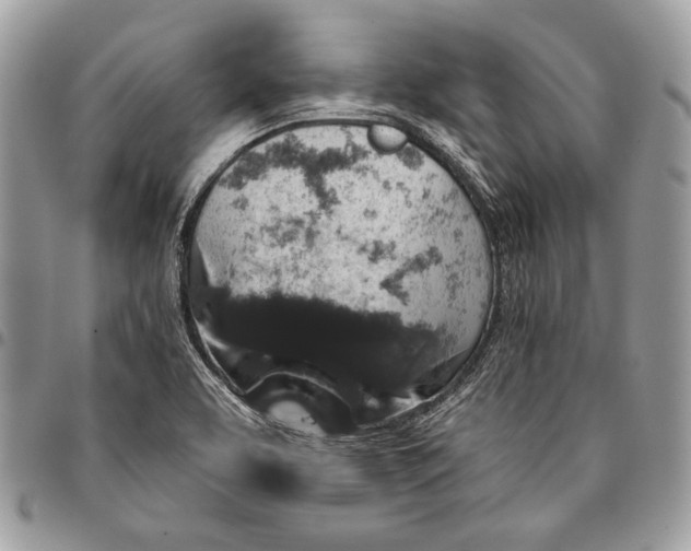 X0000096131463200802081314