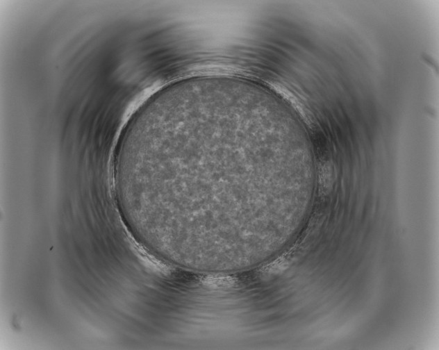 X0000096131466200802081314