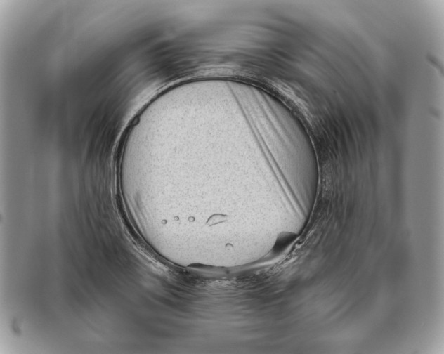 X0000096131467200802081314